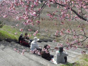 桜咲く下で、和やかに
会話している人達です。